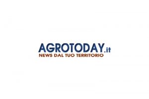 agrotoday